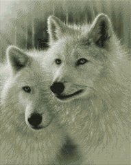 Купити Білі вовки Алмазна мозаїка На підрамнику, круглі камінці  в Україні