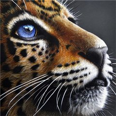 Купити Погляд леопарда Набір для діамантової мозаїки 30х30см На підрамнику  в Україні