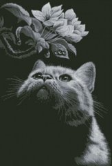 Купити Кіт з магнолією Картина алмазами за номерами  в Україні