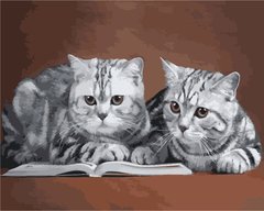 Купити Сірі коти Картина за номерами ТМ АртСторі  в Україні