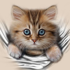 Купити Пухнастий котик Набір для діамантової мозаїки 30х30см На підрамнику  в Україні