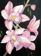 Купить Розовая орхидея Картина алмазная мозаика по номерам  в Украине