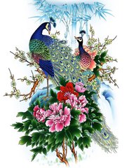 Купити Діамантова мозаїка з повним закладенням полотна Павичі - прекрасна пара  в Україні