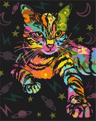 Купить Космический кот Роспись картин по номерам (без коробки)  в Украине