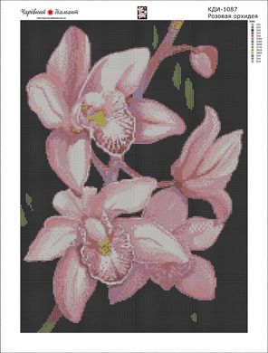 Купити Рожева орхідея Картина алмазна мозаїка за номерами  в Україні