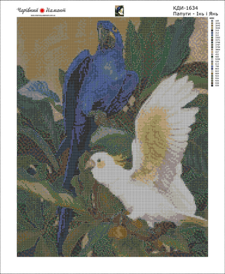 Купити Папуги – Інь та Янь Діамантова мозаїка 40 х 50 см  в Україні
