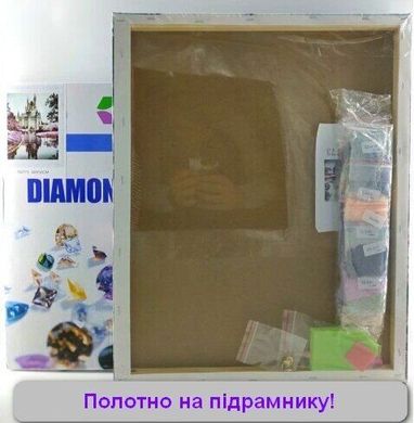 Купити Діамантова вишивка (мозаїка) На підрамнику Бенгальський кіт  в Україні