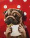 Счастливый пес ©Lucia Heffernan ТМ Брашми Алмазная картина на подрамнике 40 х 50 см, Да, 40 x 50 см