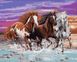 Дикие лошади Антистрес раскраска по номерам 40 х 50 см, Подарочная коробка, 40 х 50 см