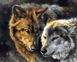 Цифровая живопись, картина без коробки Пара волков, Без коробки, 40 х 50 см