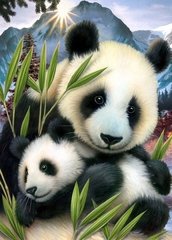 Купить Алмазная вышивка Милые панды  в Украине