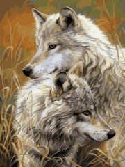 Купити Розмальовування по номерах картина Степові вовки  в Україні