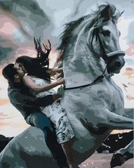 Купити Набір для малювання за номерами (без коробки) Кохання на коні  в Україні