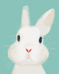 Купить Белый кролик Картина по номерам без коробки  в Украине