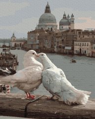 Купить Картина раскраска по номерам Любовь и голуби 40 х 50 см (без коробки)  в Украине