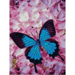 Купить Голубая бабочка Мозаика камнями по номерам С подрамником  в Украине