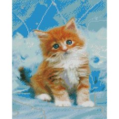 Купить Милый котенок 30х40 см Алмазная картина по номерам круглыми камушками  в Украине
