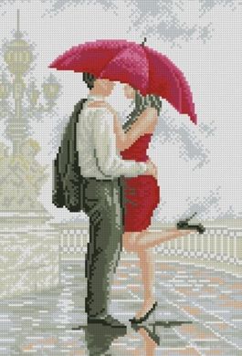 Купити Алмазна вишивка ТМ Дрім Арт Поцілунок під дощем  в Україні