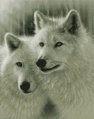 Купить Белые волки Алмазная мозаика На подрамнике, круглые камушки  в Украине