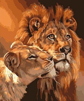 Купить Лев с львицей Алмазная мозаика На подрамнике 40 на 50 см  в Украине
