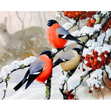 Купити Алмазна мозаїка 40х50 Снігурі  в Україні