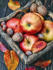 Купити Яблука Чудес Алмазна вишивка Квадратні стрази 40х50 см з голограмними відтінками  в Україні