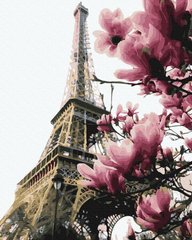 Купити Цвітіння Парижа Картина антистрес за номерами без коробки  в Україні