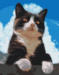 Купити Розфарбовування по номерах Допитливий котик (без коробки)  в Україні