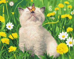 Купити Кошеня з метеликом. Цифрова картина за номерами (без коробки)  в Україні