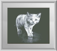 Купити 30146 Сірий кошеня Набір алмазного живопису  в Україні