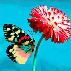 Купити Набір для алмазної мозаїки Метелик на квітці 30х30 см  в Україні