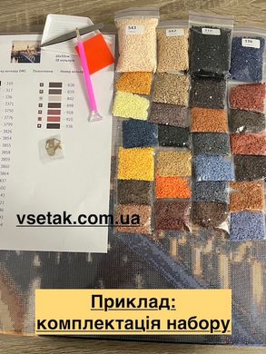 Купить Дівчина з квітами у лаванді Алмазная мозаика На Подрамнике, квадратные камни 40х50см  в Украине
