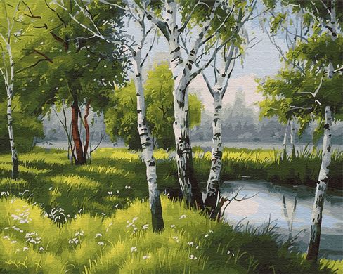Купити Малювання картини за номерами Берізки біля ставка  в Україні