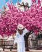 Цветущий Нотр-Дам-де-Пари © Tany Moko Раскраска по номерам, Без коробки, 40 х 50 см