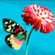 Бабочка на цветке Набор для алмазной мозаики 30х30см На подрамнике, Да, 30 x 30 см