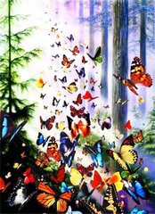 Купити Діамантова мозаїка з повним закладенням полотна Літаючі метелики  в Україні