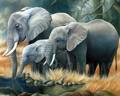 Купити Алмазна вишивка Сім'я слонів  в Україні