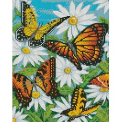 Купити Картина алмазною мозаїкою Метелики в ромашках 30х40 см  в Україні