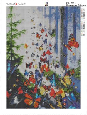 Купити Діамантова мозаїка з повним закладенням полотна Літаючі метелики  в Україні
