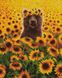Сонячний ведмедик ©Lucia Heffernan Алмазна картина на підрамнику 40 х 50 см, Так, 40 x 50 см