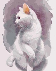 Купить Хрупкий кот. Роспись картин по номерам  в Украине