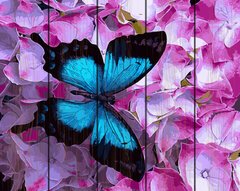 Купити Цифрова картина розмальовка по дереву Метелик в квітах  в Україні