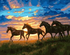 Купить Рисование цифровой картины по номерам Табун лошадей на рассвете  в Украине