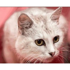 Купити Жовтоокий кіт Діамантова мозаїка На підрамнику 30х40 см  в Україні
