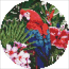Купити Яскравий папуга ©art_selena_ua Алмазна мозаїка на підрамнику круглої форми діаметром 19см  в Україні