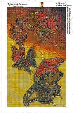 Купити Діамантова вишивка з повним закладенням полотна Політ метеликів  в Україні