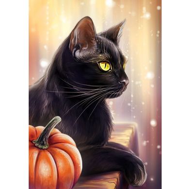 Купить Черная кошка Набор для алмазной мозаики на подрамнике 30х40см  в Украине