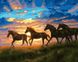 Малювання цифрової картини за номерами Табун коней на світанку, Без коробки, 40 х 50 см