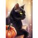 Черная кошка Набор для алмазной мозаики на подрамнике 30х40см, Да, 30 x 40 см