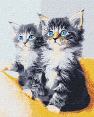 Купить Голубоглазые котята. Роспись картин по номерам  в Украине